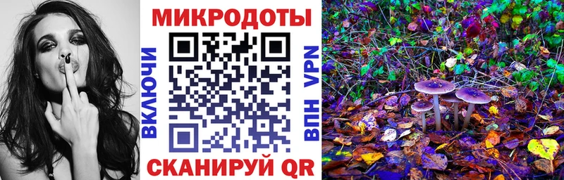 наркошоп  Петров Вал  Псилоцибиновые грибы MAGIC MUSHROOMS 